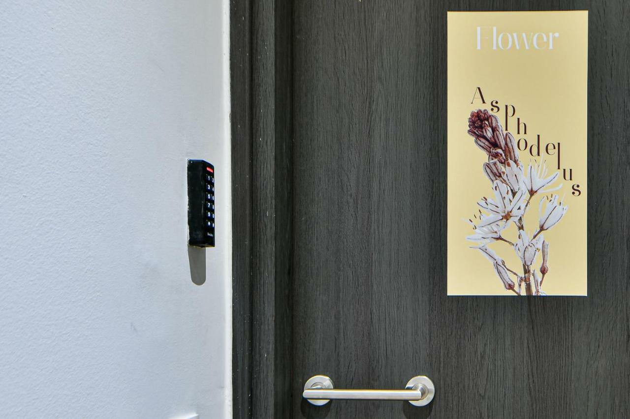 Flowers Of Athens, Boutique Aparthotel With 6-Apartments In Central Atény Exteriér fotografie