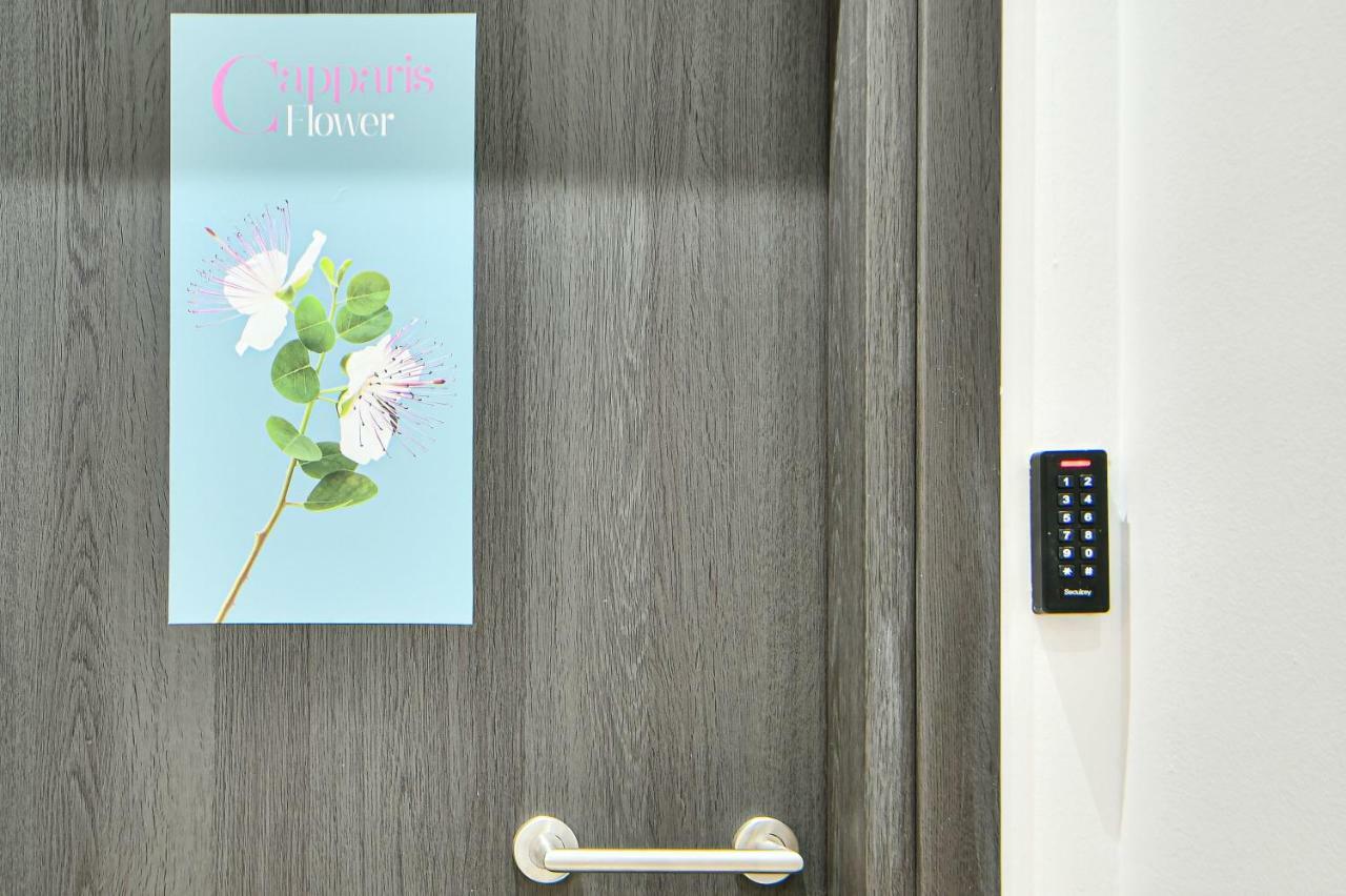 Flowers Of Athens, Boutique Aparthotel With 6-Apartments In Central Atény Exteriér fotografie